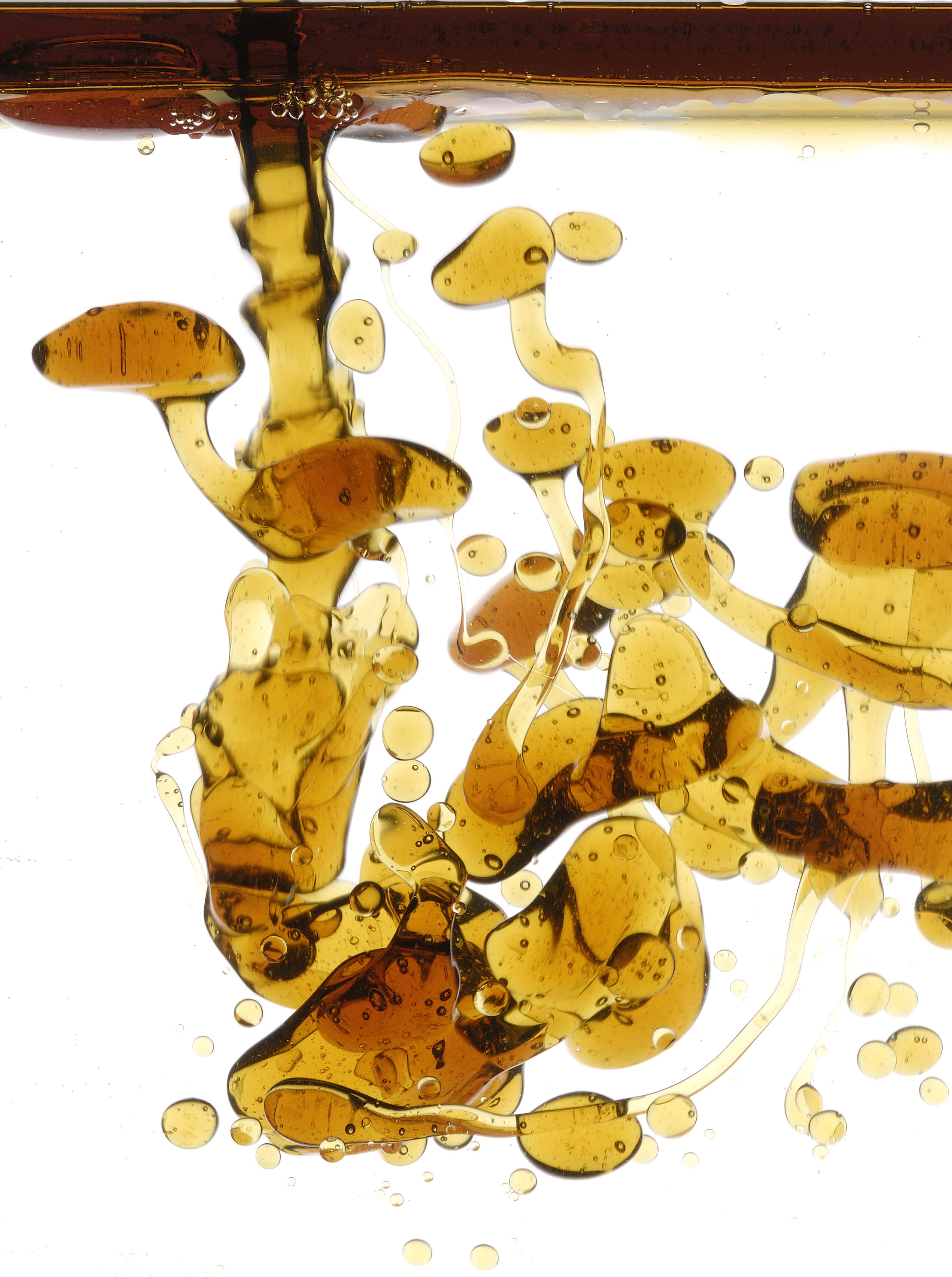 grease trap singapore oil in sink choke 